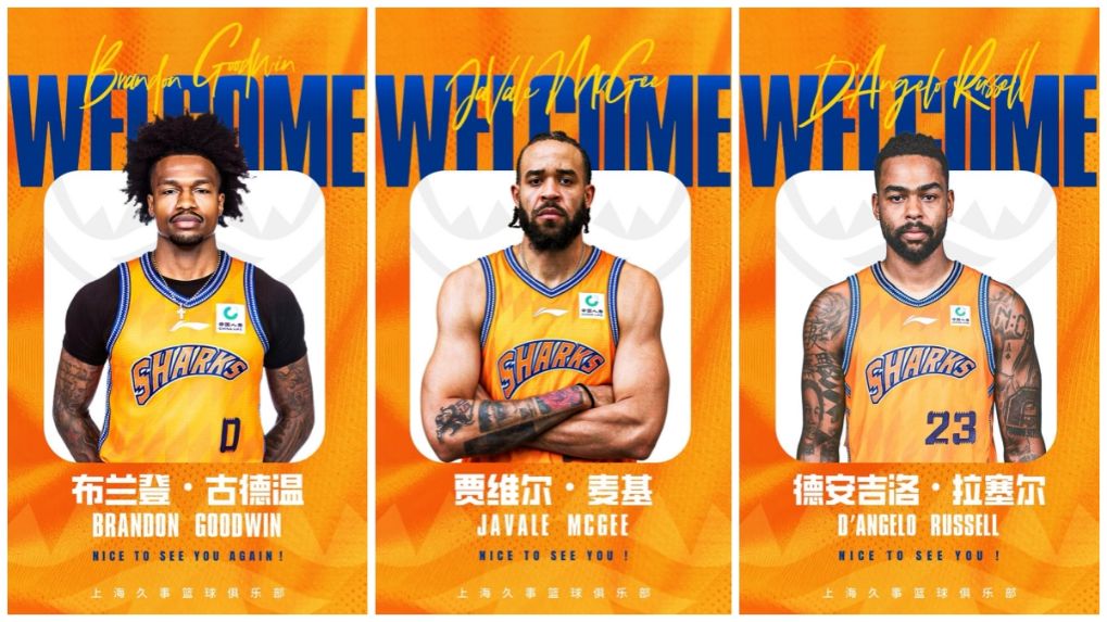 U8国际案例展示