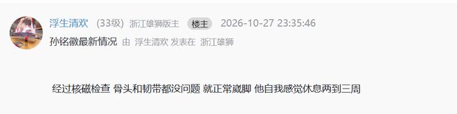 U8国际案例展示